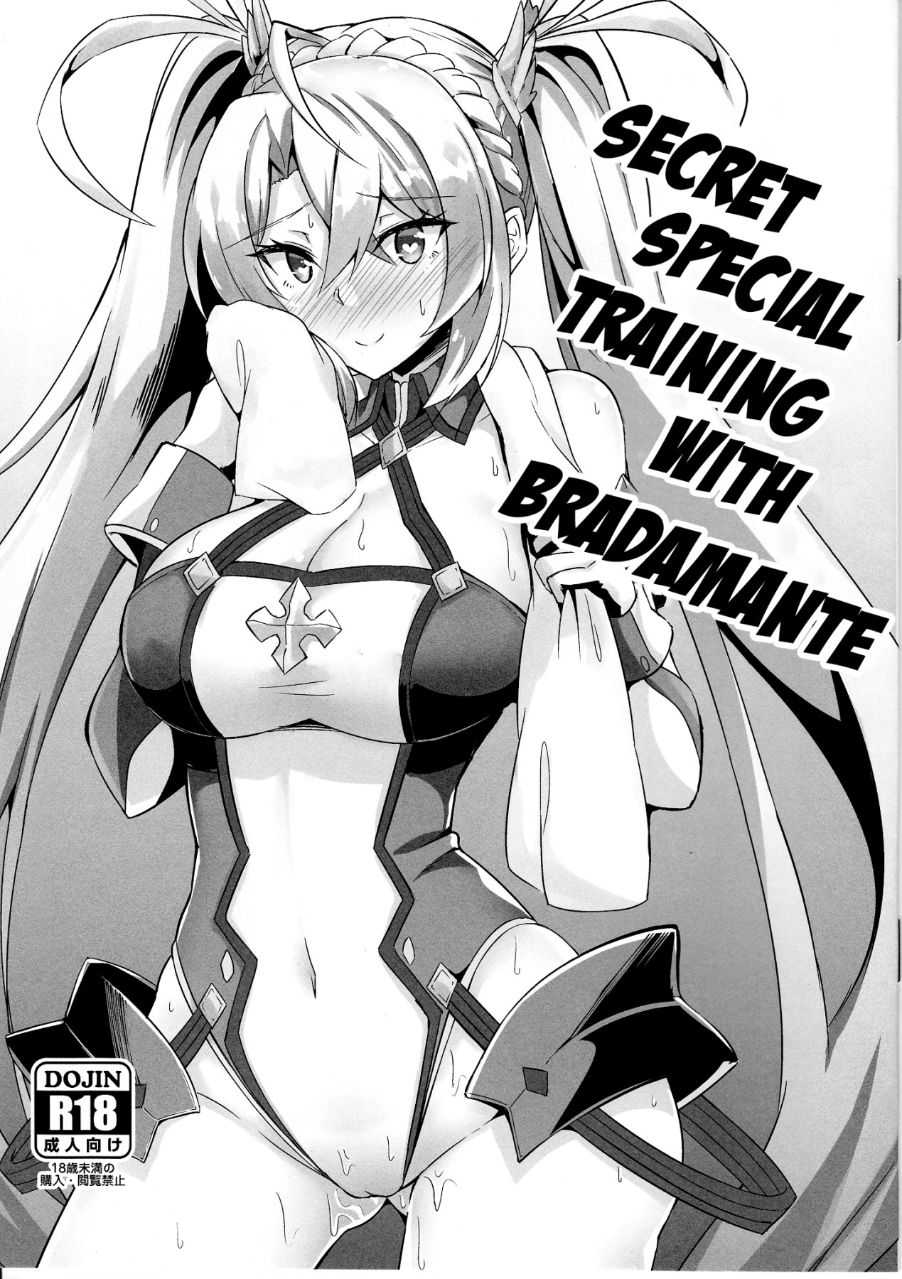 Hentai Manga Comic-Secret Special Training with Bradamante-Read-1